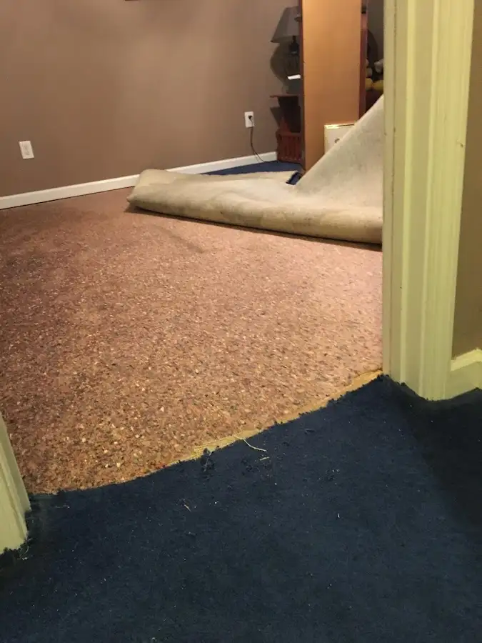 Carpet pad removal revealing water damage during Drying & Dehumidification in Fitzgerald