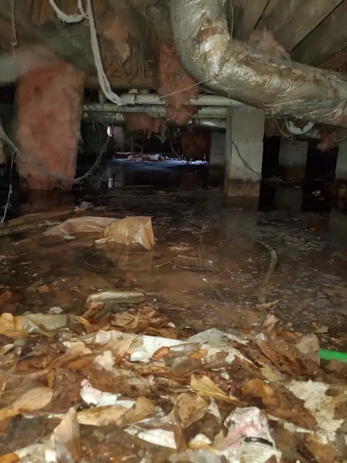 Crawl space flood assessment for Leak Detection & Repair in Fitzgerald